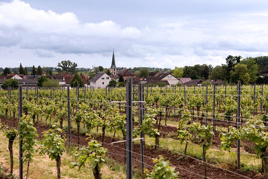 Hofeinfahrt mit schöner Bundsandsteinmauer im Vordergrund